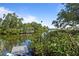 Scenic waterfront with lush greenery, dock, and boat lift reflecting in the calm water at 608 Betmor Ln, Palm Harbor, FL 34683