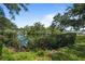 A serene waterfront scene with green foliage, and clear blue skies at 608 Betmor Ln, Palm Harbor, FL 34683