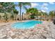 An inviting swimming pool with elegant landscaping and charming patio furniture for relaxation at 7909 Canna Dr, Port Richey, FL 34668