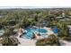 Resort-style pool area featuring palm trees, lounge chairs, and inviting blue canopies for a relaxing outdoor experience at 8015 Hampton Glen Dr, Tampa, FL 33647