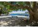 A shady bench sits on the sandy beach with views of the pier and lake beyond at 10408 Butia Pl, Tampa, FL 33618