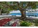 Sandy beach featuring a red picnic table and stunning lake views at 10408 Butia Pl, Tampa, FL 33618