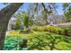 Landscaped backyard with established trees, a wood stump, and other vegetation at 11203 Killearn Ct, Riverview, FL 33569