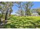 Serene backyard featuring mature trees and lush green grass, offering a peaceful retreat at 11203 Killearn Ct, Riverview, FL 33569