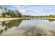 Scenic view of the neighborhood pond, offering a tranquil and picturesque setting at 18002 Avalon Ln, Tampa, FL 33647