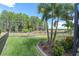 Serene backyard with lush green grass, mature palm trees, and a black metal perimeter fence at 3166 Francoa Dr, Odessa, FL 33556