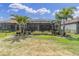 Green backyard lawn and landscaping featuring view of the covered patio, palm trees, and screened in patio at 3166 Francoa Dr, Odessa, FL 33556