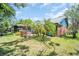Back exterior shot with tropical plants and lush green grass, including screened patio at 3224 Hilary Cir, Palm Harbor, FL 34684