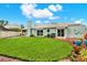 Beautiful backyard with green lawn, mature landscaping, a pool, and a patio area for outdoor living at 500 Westborough Ln, Safety Harbor, FL 34695