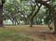 Shaded common area featuring mature trees, benches, and paved path for walking at 5318 Mary St, Zephyrhills, FL 33542