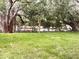 Expansive green backyard featuring mature trees, with a view of a chain-link fence at 733 Holly Ter, Brandon, FL 33511