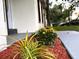 Front yard featuring lovely landscaping with mulch and vibrant plants at 733 Holly Ter, Brandon, FL 33511