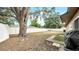 Expansive backyard with a shade tree, secure fence, and concrete patio, offering privacy and space at 812 Regent Circle S, Brandon, FL 33511
