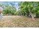 Expansive backyard enclosed by a chain-link fence, offering ample space for recreation at 1225 15Th St, Palm Harbor, FL 34683