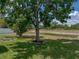 Scenic backyard with a large shade tree, manicured lawn, and water feature at 12713 Whitney Meadow Way, Riverview, FL 33578