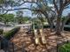 Community playground featuring slides and climbing structure offers a fun and safe recreation area at 12713 Whitney Meadow Way, Riverview, FL 33578