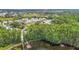 Lakefront community surrounded by lush green forest and a neighborhood pier for relaxing or launching small boats or kayaks at 1628 Lullwater Ln, Lutz, FL 33549