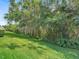 Serene backyard view with lush green lawn and mature trees providing privacy and a tranquil setting at 1628 Lullwater Ln, Lutz, FL 33549