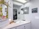 Charming bathroom vanity with decorative mirror and a well-lit interior at 1628 Lullwater Ln, Lutz, FL 33549