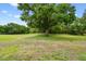 Expansive grassy lot with mature trees, offering a serene and private setting with plenty of room to roam at 19106 Beckett Dr, Odessa, FL 33556