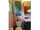 Charming bathroom with pink tile, stylish fixtures, and a modern sink vanity at 307 Druid Hills Rd, Temple Terrace, FL 33617