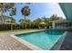 Backyard pool area featuring an in-ground pool, mature palm trees and patio seating at 3236 San Pedro St, Clearwater, FL 33759