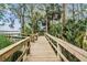 Wooden boardwalk leading through a lush, green environment, inviting exploration and relaxation at 3727 Janus Way, Palm Harbor, FL 34685
