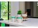 Quartz countertop detail with decorative mugs, plants, and cooking accessories with stainless steel appliances at 616 11Th Nw St, Largo, FL 33770
