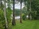 The backyard of this property offers picturesque views of the tranquil lake at 11802 Raintree Lake Ln # B, Temple Terrace, FL 33617