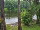 Scenic view of a tranquil lake surrounded by lush greenery and trees, creating a peaceful environment at 11802 Raintree Lake Ln # B, Temple Terrace, FL 33617