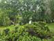 Tranquil water view surrounded by lush greenery, creating a serene and picturesque environment at 11802 Raintree Lake Ln # B, Temple Terrace, FL 33617