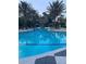 Large community swimming pool with multiple seating areas and umbrellas surrounded by palm trees at 1600 Still River Dr, Venice, FL 34293