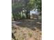 Spacious backyard with mature trees, perfect for landscaping at 1935 W Union St, Tampa, FL 33607