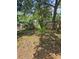 Backyard featuring green plants and a wooden fence at 1935 W Union St, Tampa, FL 33607