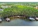 Aerial view of the community's lakefront property showcases the wooded shoreline and serene setting at 21215 Preservation Dr, Land O Lakes, FL 34639