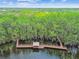 Scenic aerial view of the beautiful pier over the lake surrounded by green trees and blue skies at 21215 Preservation Dr, Land O Lakes, FL 34639
