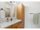 Bathroom vanity with storage and a mirror adjacent to a shower with a glass door at 3070 Smilodon Trl, Ruskin, FL 33570