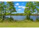 Scenic water view framed by mature trees and lush green grass at 3070 Smilodon Trl, Ruskin, FL 33570