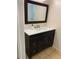 Bathroom with dark vanity, framed mirror, and updated fixtures offering a clean, modern aesthetic at 3403 Jamais Wood Way, Tampa, FL 33618