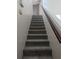 Carpeted stairs with white risers, wooden handrail, and white wall create a comfortable home interior at 3403 Jamais Wood Way, Tampa, FL 33618