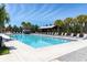 A luxurious community pool is surrounded by palm trees, sun loungers, and a covered seating area at 3850 Bonfire Dr, Odessa, FL 33556