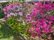 Lush landscaping with flowering shrubs adds beauty and curb appeal to this property at 4152 56Th N Way # 513, Kenneth City, FL 33709