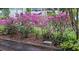 Well-maintained community landscaping with blooming azalea bushes and lush greenery at 4152 56Th N Way # 513, Kenneth City, FL 33709
