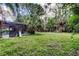 Large backyard featuring lush green grass, mature trees, and a screened-in pool area at 4908 Rockledge Cir, Tampa, FL 33624