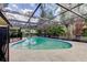 A serene in-ground pool surrounded by a screened enclosure and lush tropical foliage at 4908 Rockledge Cir, Tampa, FL 33624