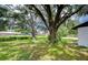 Overgrown, expansive backyard featuring lush trees and lots of space for activities at 4911 Country Aire Ln, Tampa, FL 33624