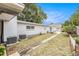 Large backyard with a well-maintained lawn and mature trees, offering space for outdoor activities at 5250 12Th N St, St Petersburg, FL 33703