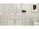 Bright bathroom with white cabinets, marble countertop, modern fixtures, and stylish decor at 11833 Blue Diamond Trl, Parrish, FL 34219