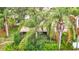 Aerial view of a home with lush landscaping and mature trees with a screened in lanai visible at 120 Colony South Dr, Tarpon Springs, FL 34689