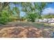 Spacious backyard features mature trees and partial fencing at 1505 E 99Th Ave, Tampa, FL 33612